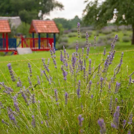 Lavanda Farm Apartmani Rakovica Exterior photo