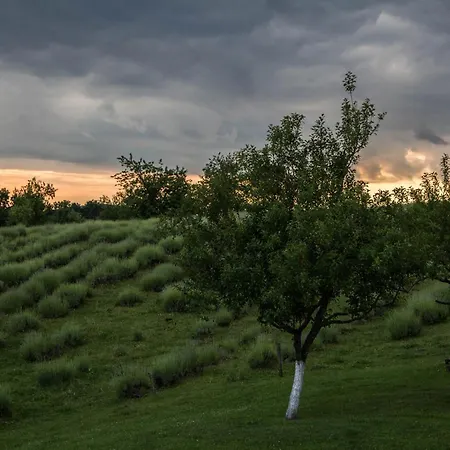 Lavanda Farm Apartmani Rakovica Exterior photo