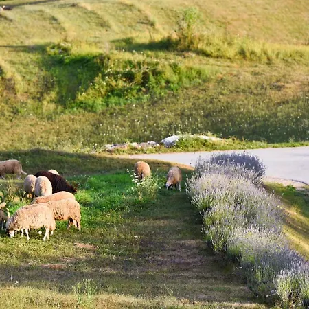 Lavanda Farm Apartmani Rakovica Exterior photo