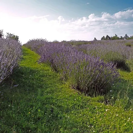 Lavanda Farm Apartmani Rakovica Exterior photo