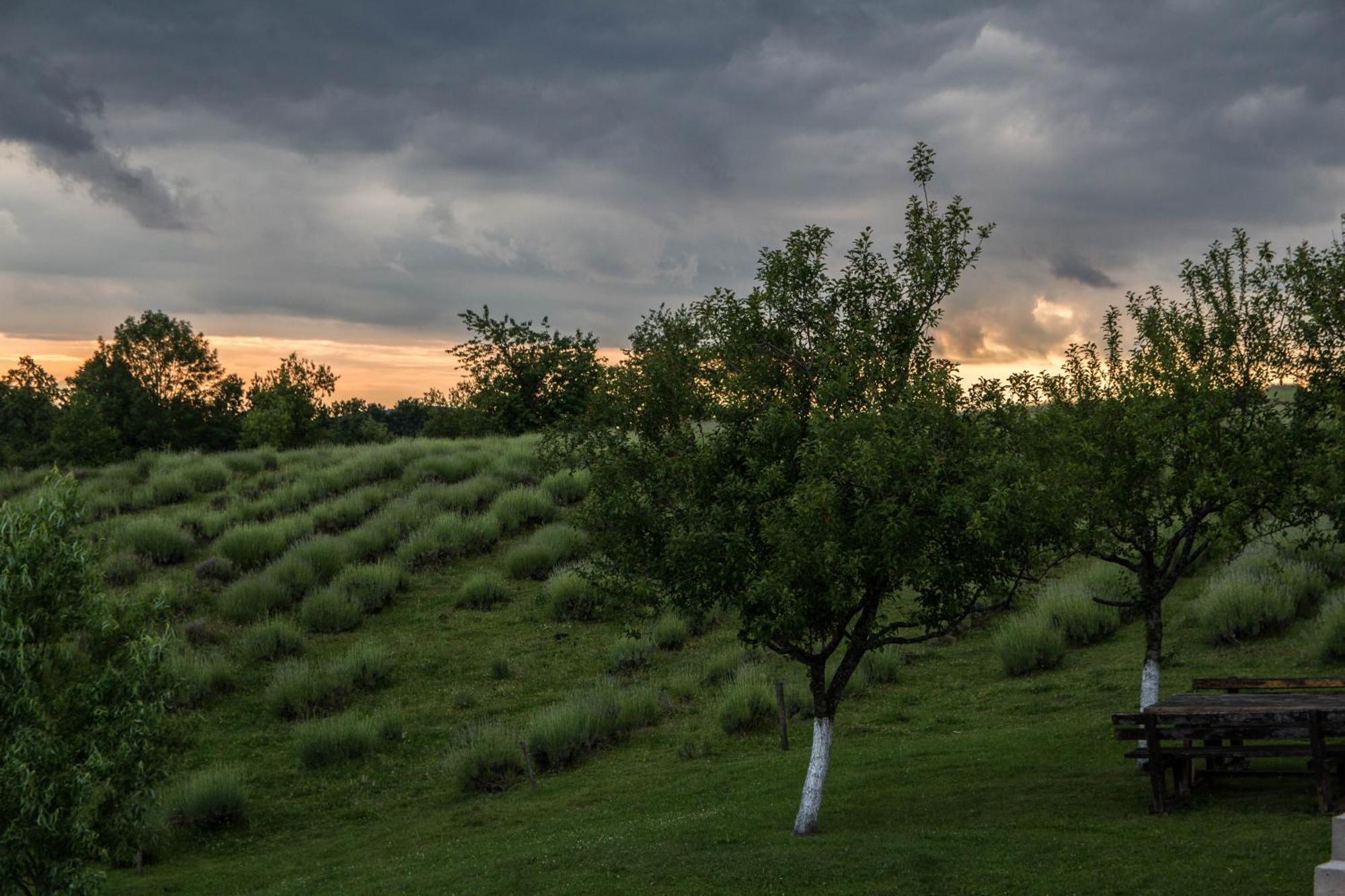 Lavanda Farm Apartmani Rakovica
