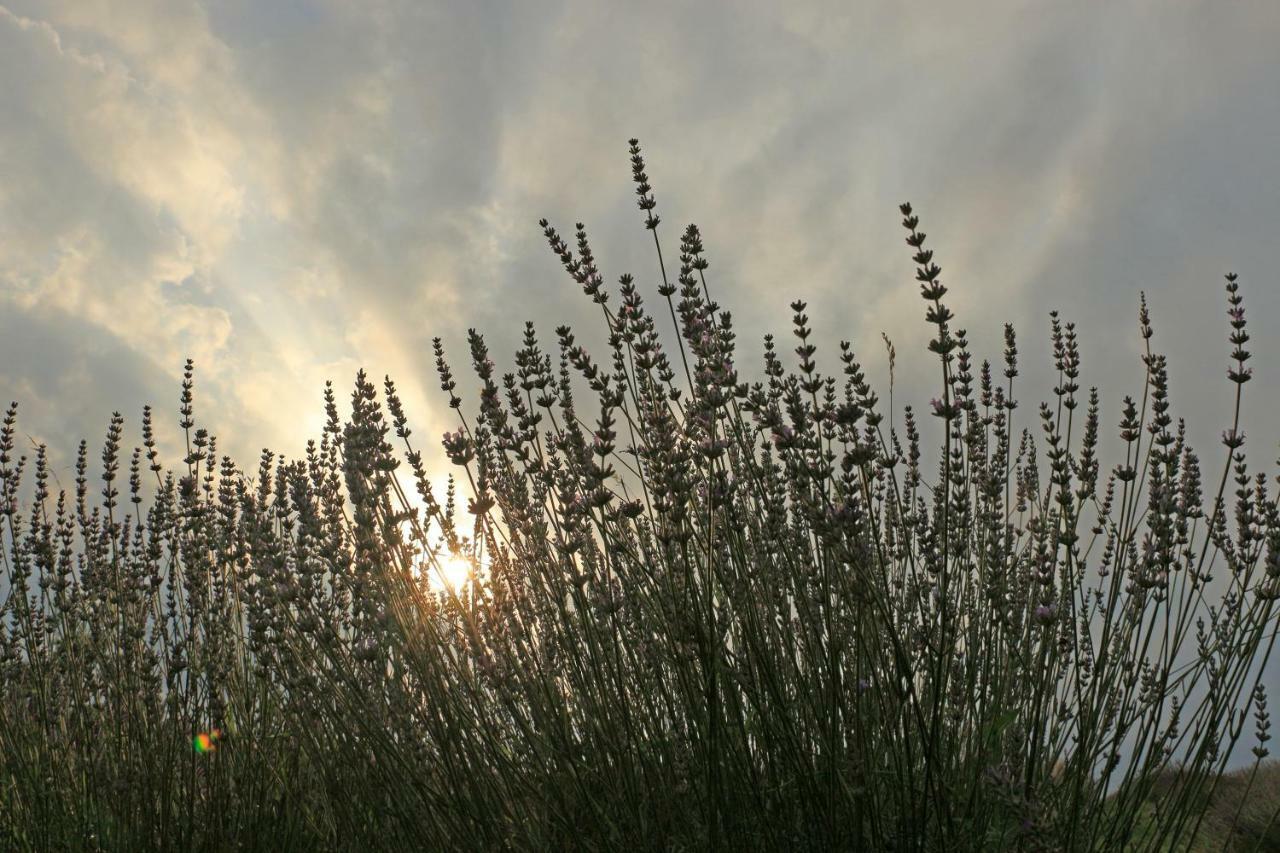 Lavanda Farm Apartmani