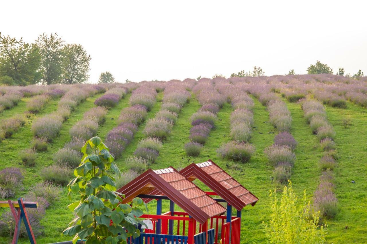 Lavanda Farm Apartmani Rakovica