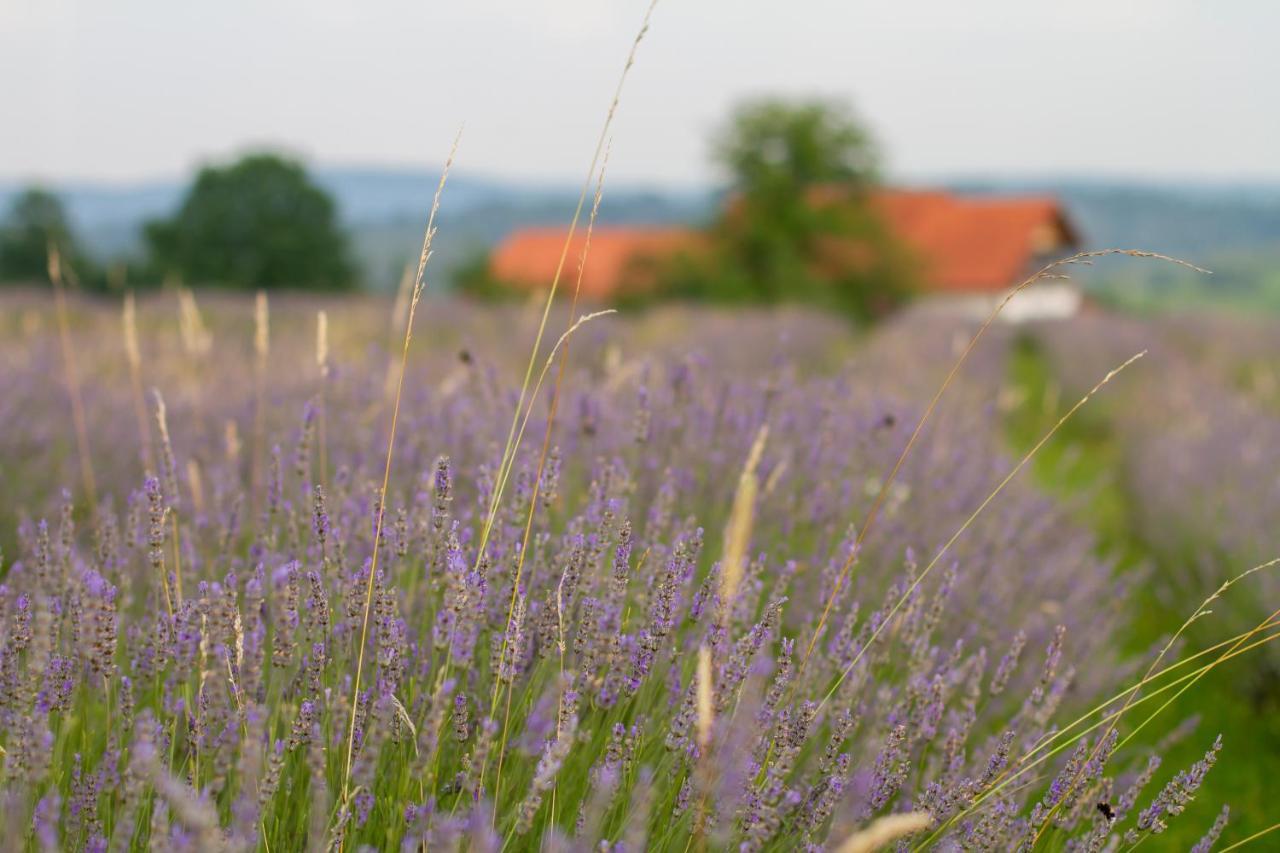 Apartment Lavanda Farm Apartmani